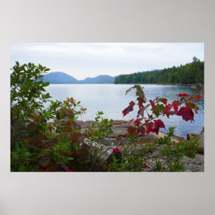 Eagle Lake and Red Maple Leaves I Poster