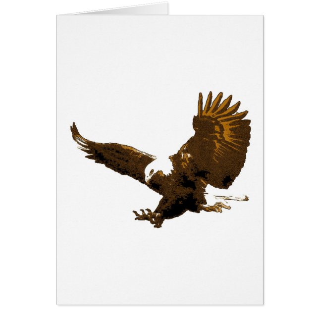 Eagle Landing (Front)