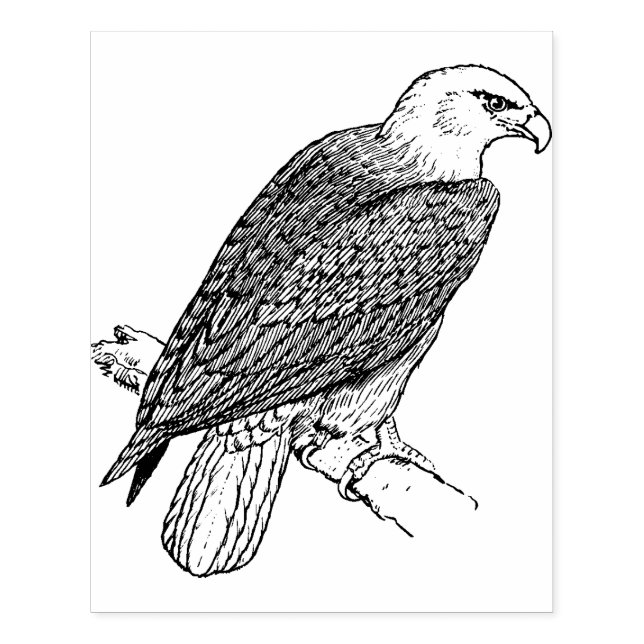 Eagle Large Card Making Rubber Stamp (Imprint)
