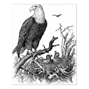 Eagle Large Card Making Rubber Stamp