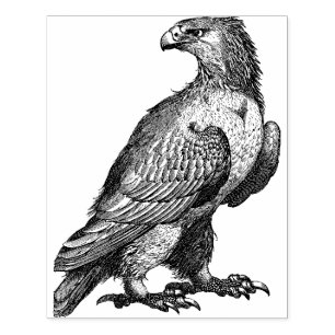 Eagle Large Rubber Stamp