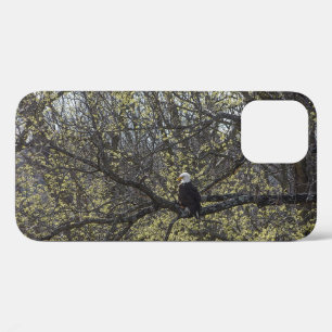 Eagle Lookout Painterly iPhone Case