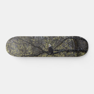 Eagle Lookout Painterly Skateboard