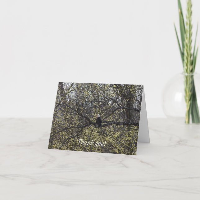 Eagle Lookout Painterly Thank You Card (Front)