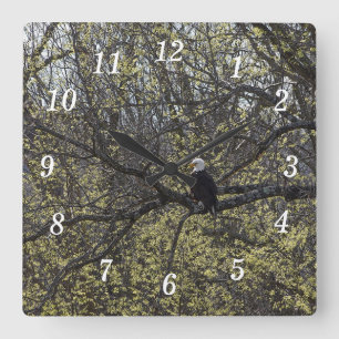 Eagle Lookout Painterly Wall Clock