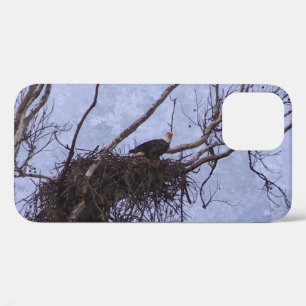 Eagle Lookout Painting iPhone Case