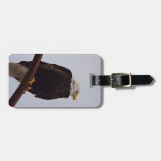Eagle luggage tag