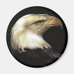 eagle magnet
