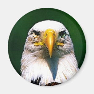 eagle magnet