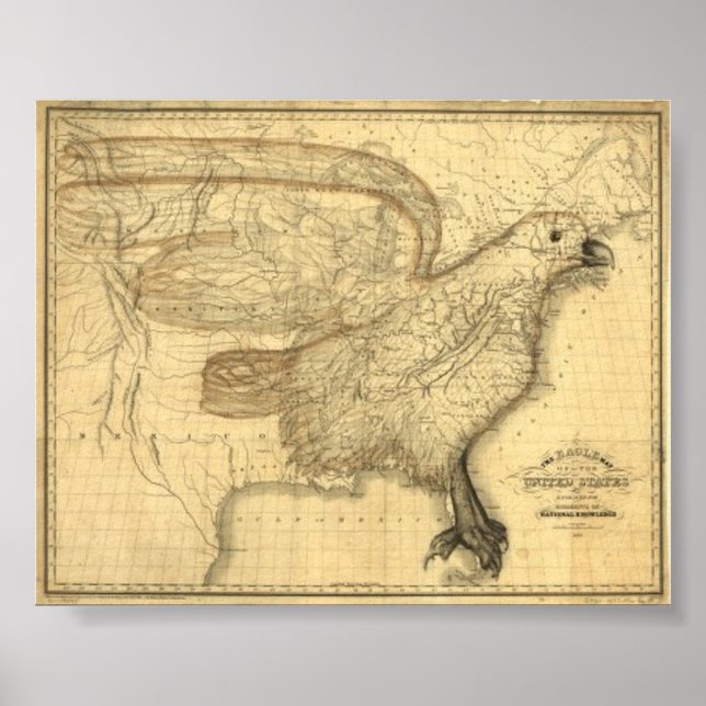 Eagle Map of the United States Poster (Front)