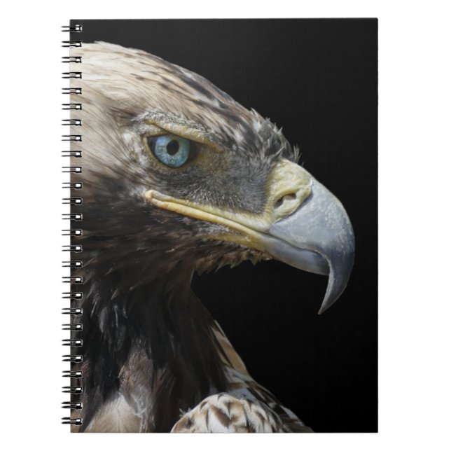 Eagle Notebook (Front)