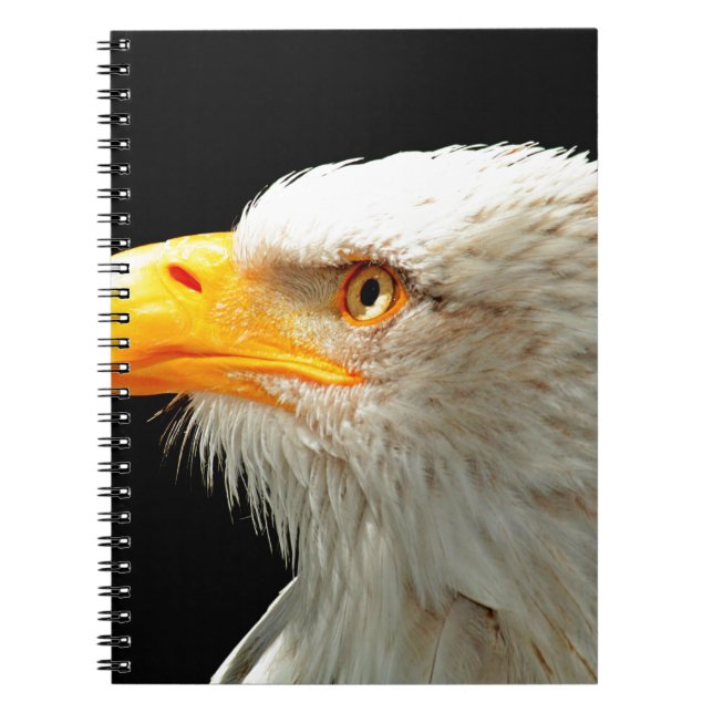 EAGLE NOTEBOOK (Front)