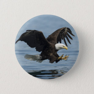 Eagle on Approach 6 Cm Round Badge