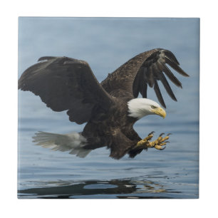 Eagle on Approach Ceramic Tile