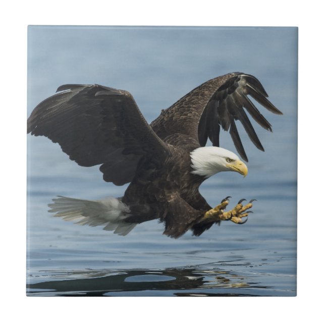 Eagle on Approach Ceramic Tile (Front)