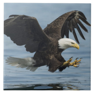 Eagle on Approach Ceramic Tile