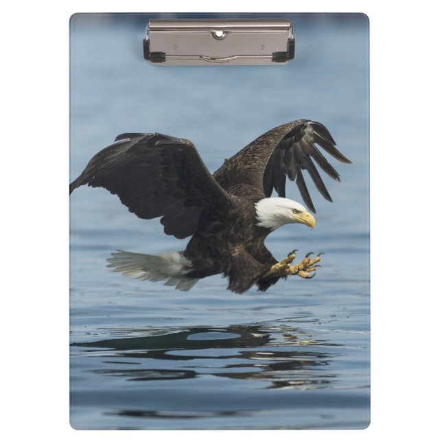 Eagle on Approach Clipboard (Front)