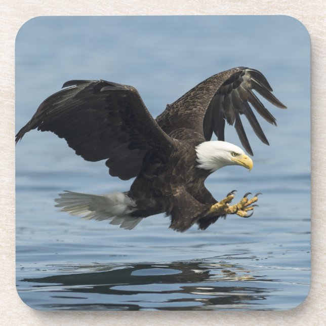 Eagle on Approach Coaster (Front)