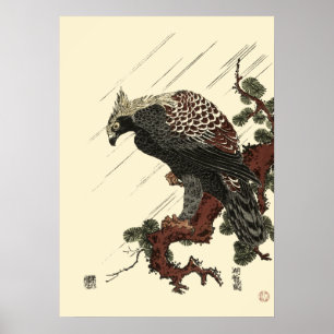 Eagle On Pine Antique Japanese Print