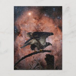 Eagle & Outer Space Gifts Postcard