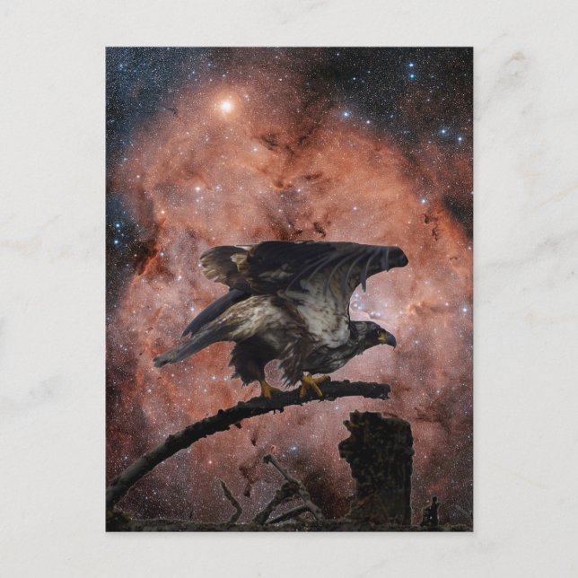 Eagle & Outer Space Gifts Postcard (Front)