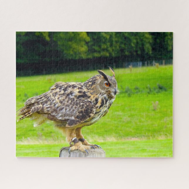 Eagle Owl-Bird of Prey. Jigsaw Puzzle (Horizontal)