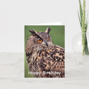 Eagle Owl Birthday Card