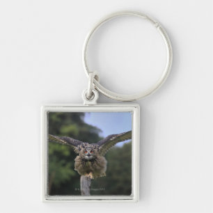 Eagle Owl (Bubo bubo) Key Ring