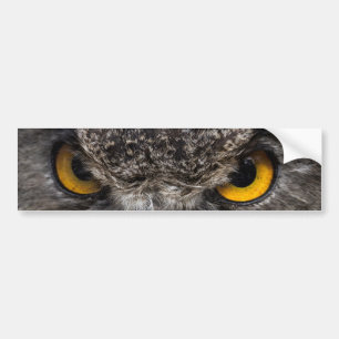 Eagle Owl Bumper Sticker