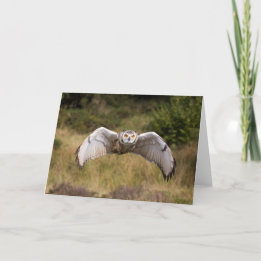 Eagle Owl "Coming at You" Card