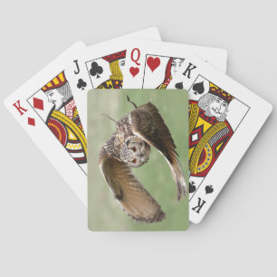 Eagle Owl In Flight Playing Cards