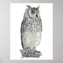 Eagle Owl Pencil Drawing