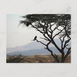 Eagle Owl Silhouette Postcard