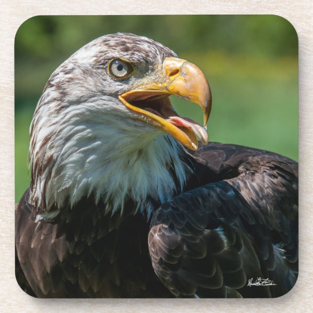 eagle photo coaster (Front)