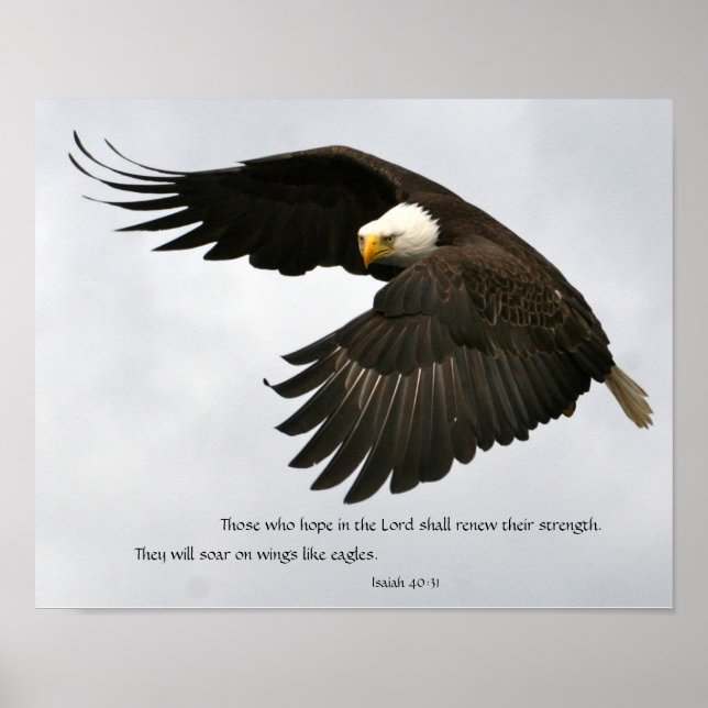 Eagle Photo with Bible Verse Poster (Front)