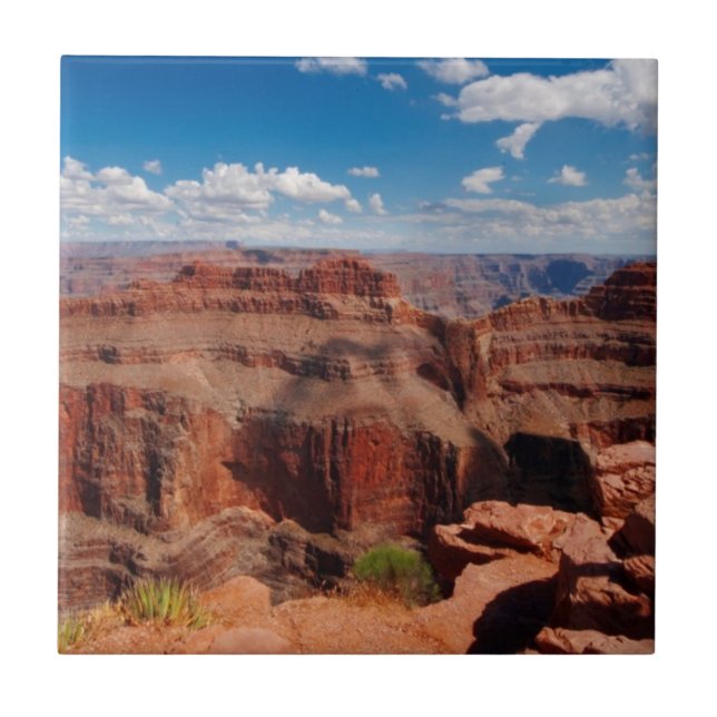 Eagle Point Ceramic Tile (Front)