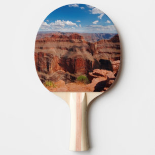 Eagle Point Ping Pong Paddle
