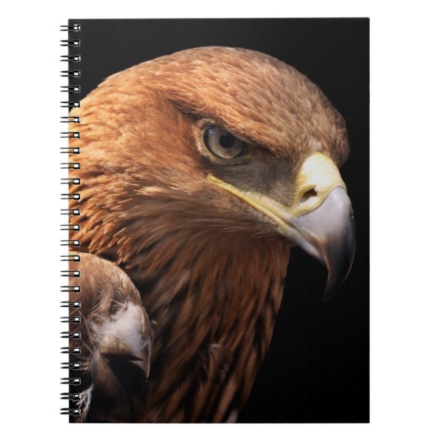 Eagle portrait isolated on black notebook (Front)