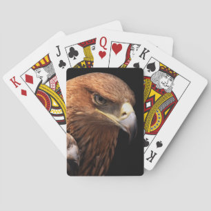 Eagle portrait isolated on black playing cards