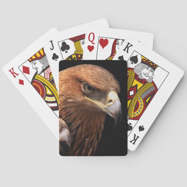 Eagle portrait isolated on black playing cards (Back)