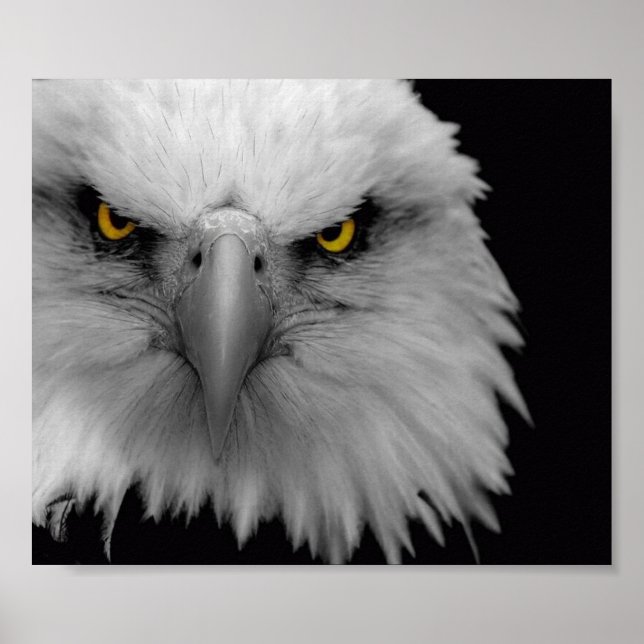 eagle poster (Front)