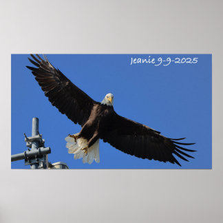 Eagle Poster