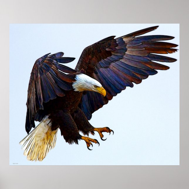 EAGLE POSTER (Front)