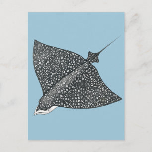 Eagle Ray Postcard