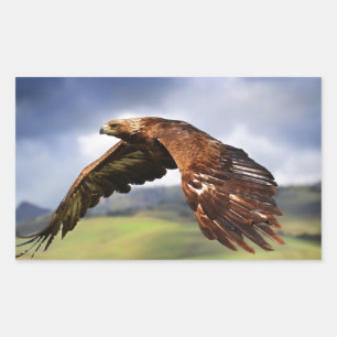 Eagle Rectangular Sticker