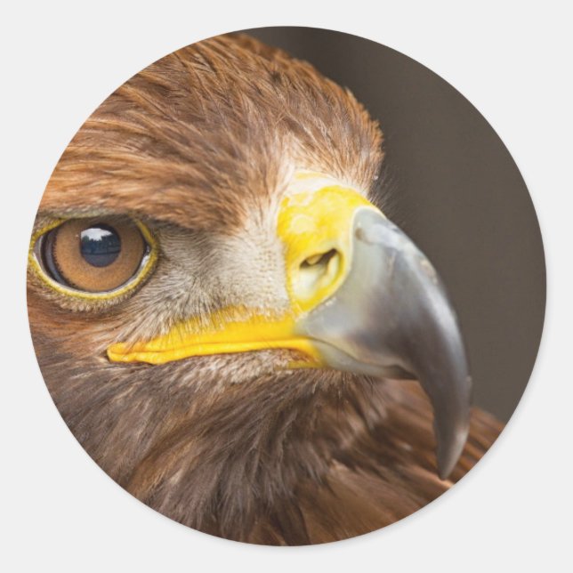Eagle Round Sticker (Front)
