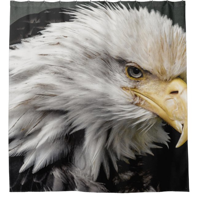 EAGLE SHOWER CURTAIN (Front)