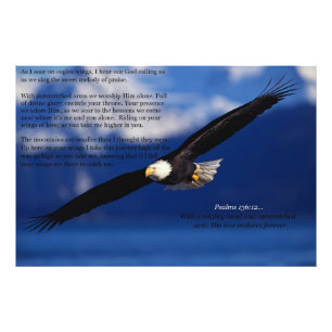 Eagle Soaring High Photo Print