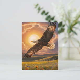 Eagle Soaring Sunset Postcard