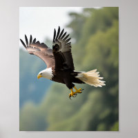 Eagle Soaring Through the Sky